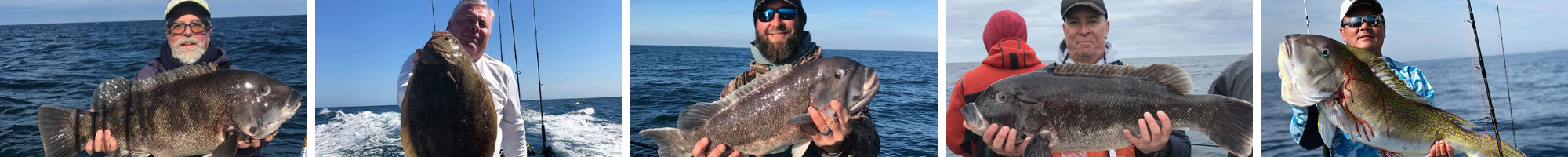 Ocean City Maryland Fishig Reports. Fish Bound Charters - Tog Fishing Reports, Flounder Fishing Reports, Sea Bass Fishing Reports