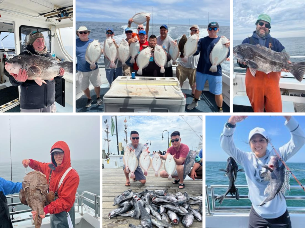 ocmd fishing trips